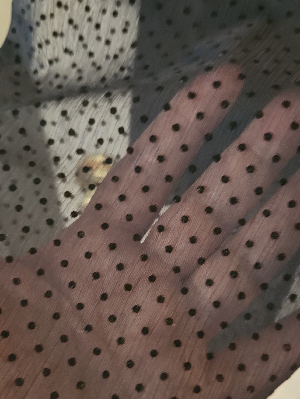 Fossill Sheer Swiss Polka Dot Tie-Neck Blouse - Black - Picture 4 of 8